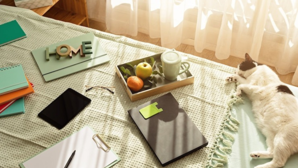 Multi-Cat Household Tips Keeping the Peace