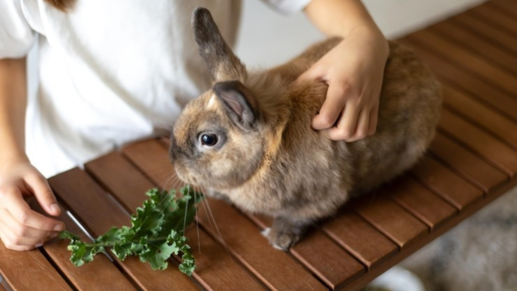 Meeting Dietary Needs