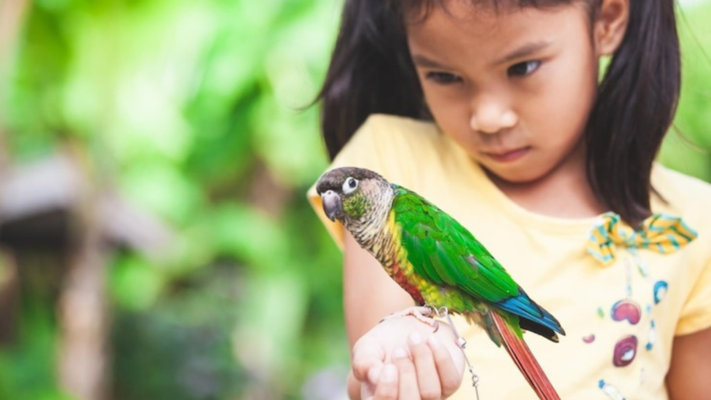 Training Your Pet Parrot Do’s and Don’ts