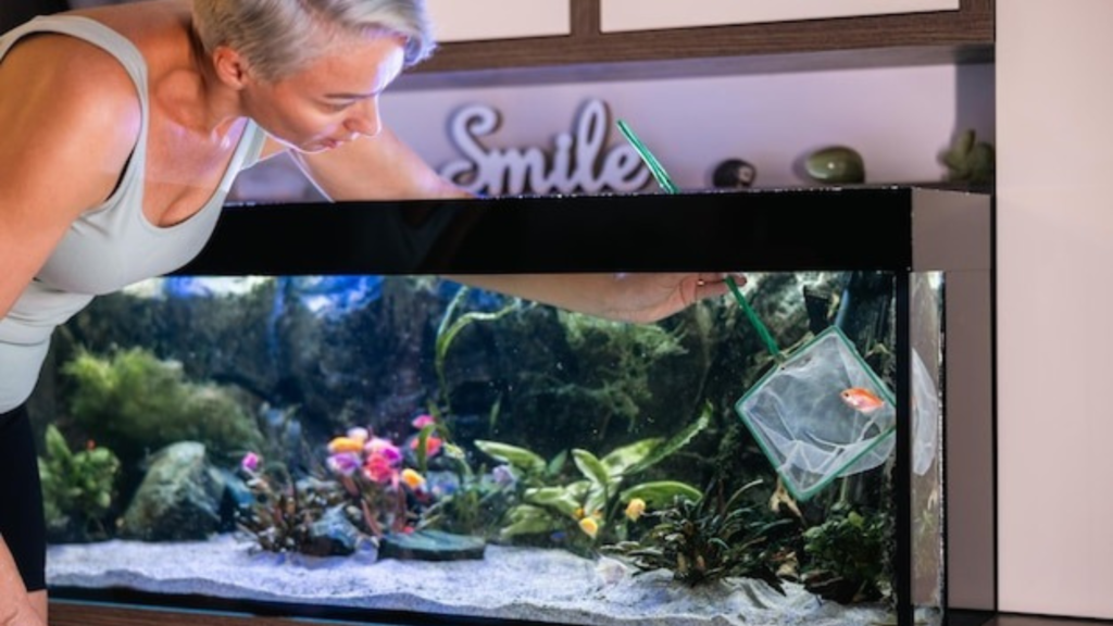 How to Clean Your Fish Tank Without Stressing Your Fish