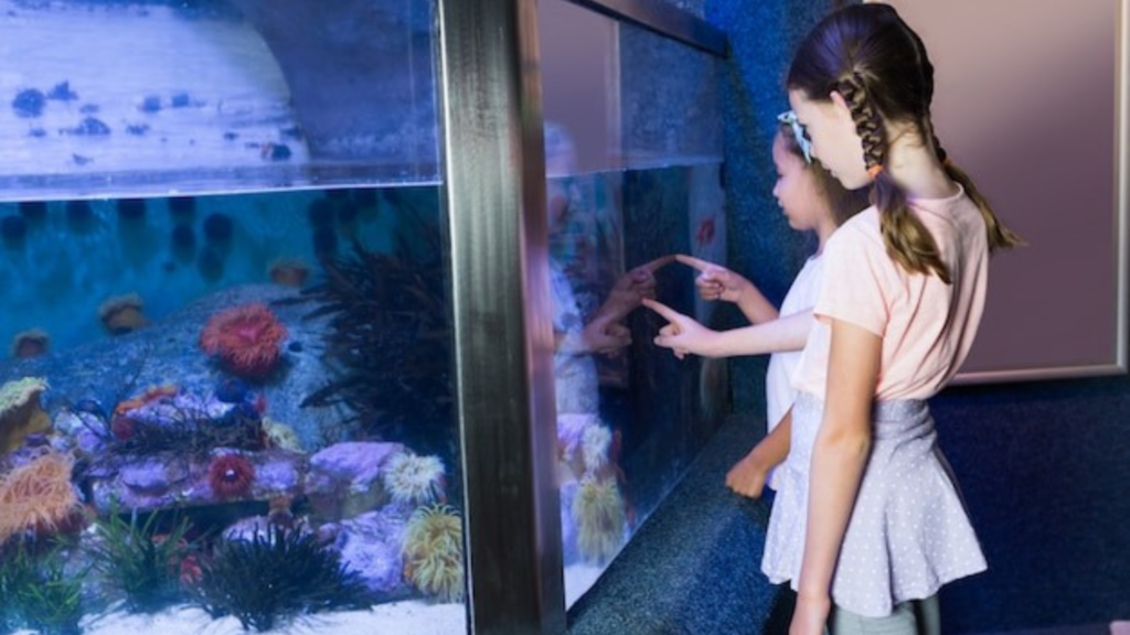 What lighting do you have?