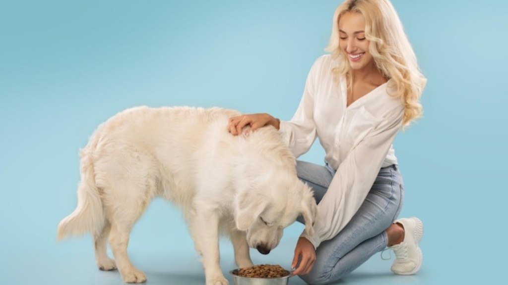 How to Choose the Best Pet Food for Your Animal