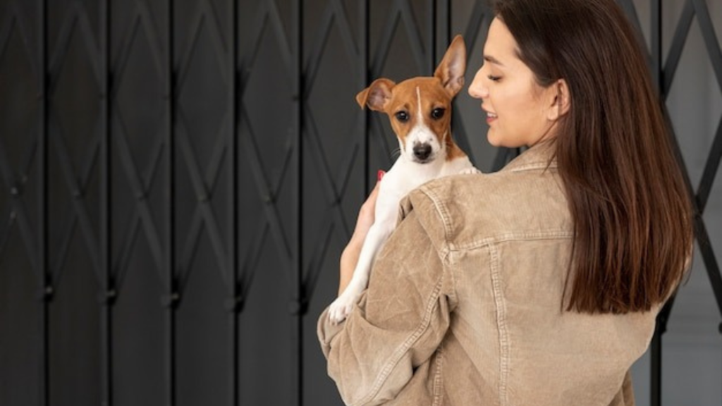 Are Expensive Pet Products Worth It?