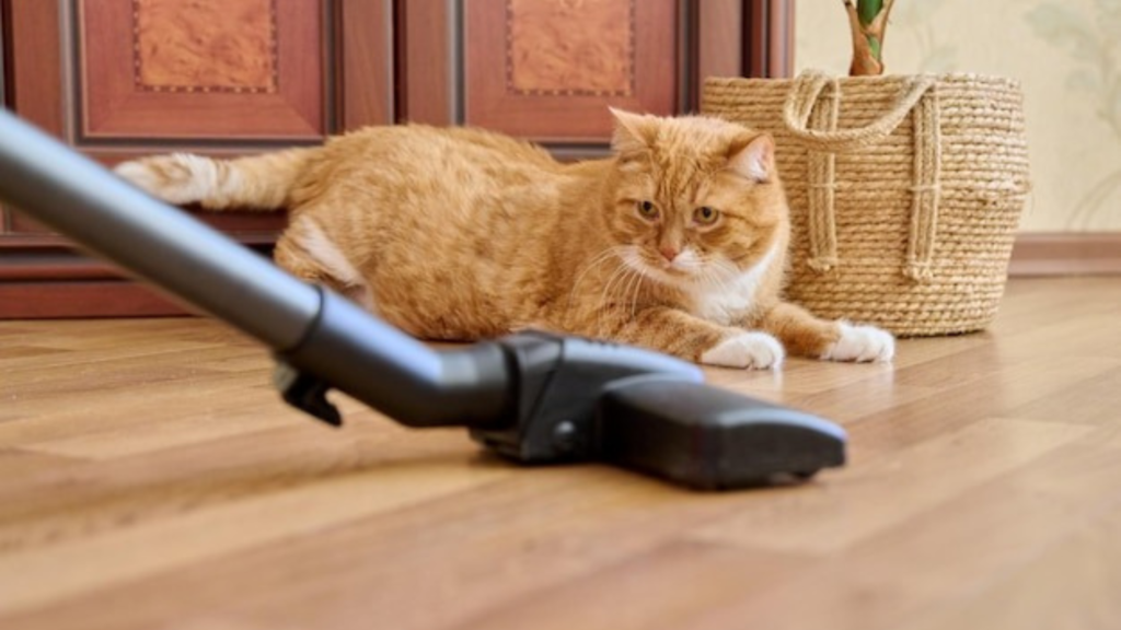 Effortless Cleaning with the Dual-Action Floor Scrubber