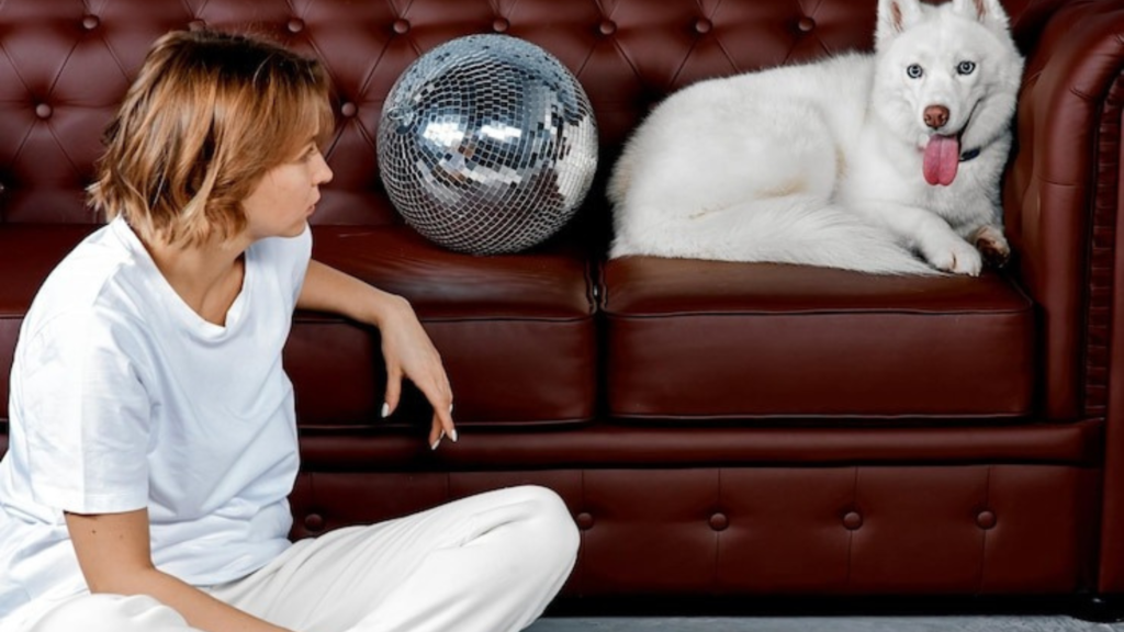 Symbolism of the Dog in Charles V’s Portraits