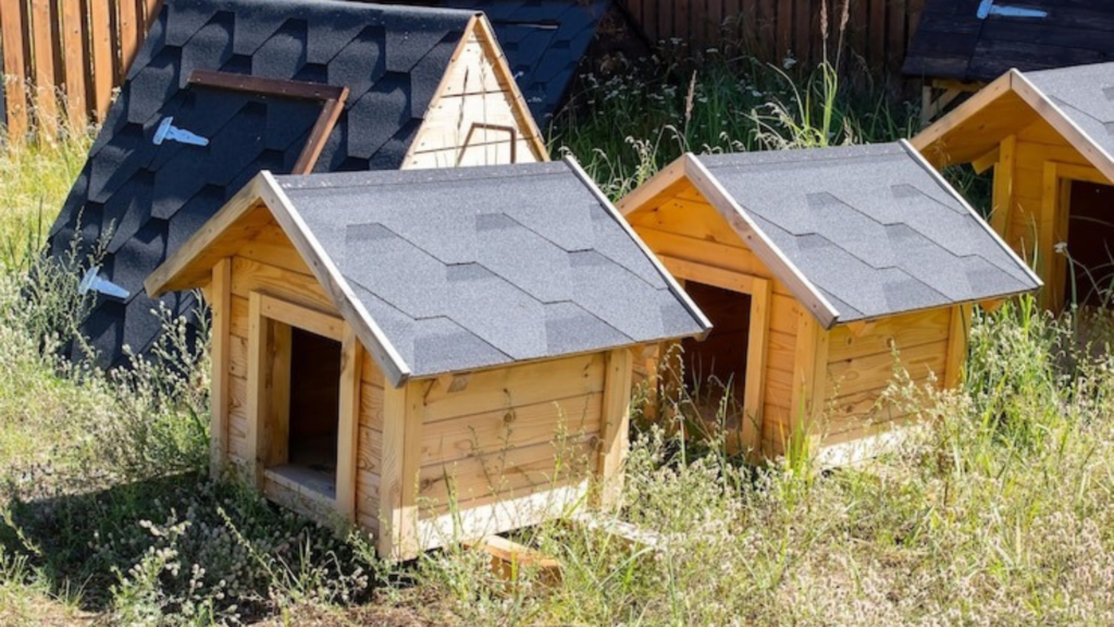 Insulated Dog Houses for Cold Climates and Large Breeds