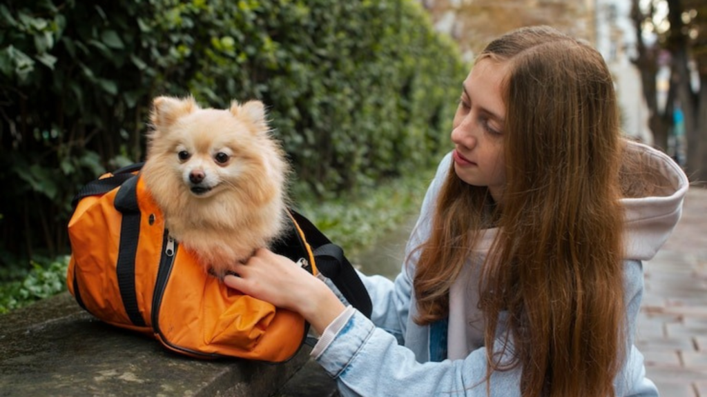 Enhancing Pet Care with Flexible Lighting Control