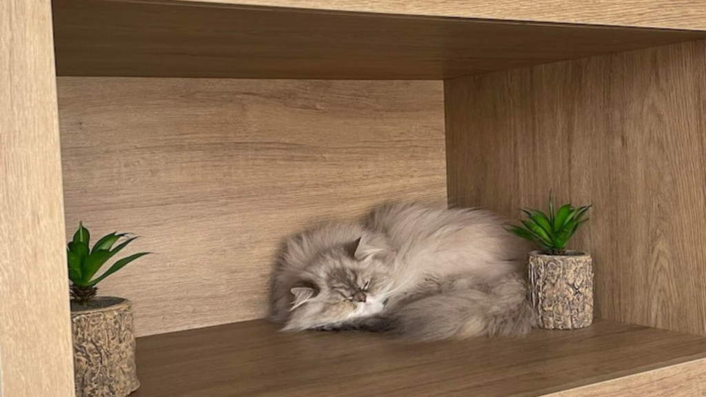 System Activation and Deactivation Process