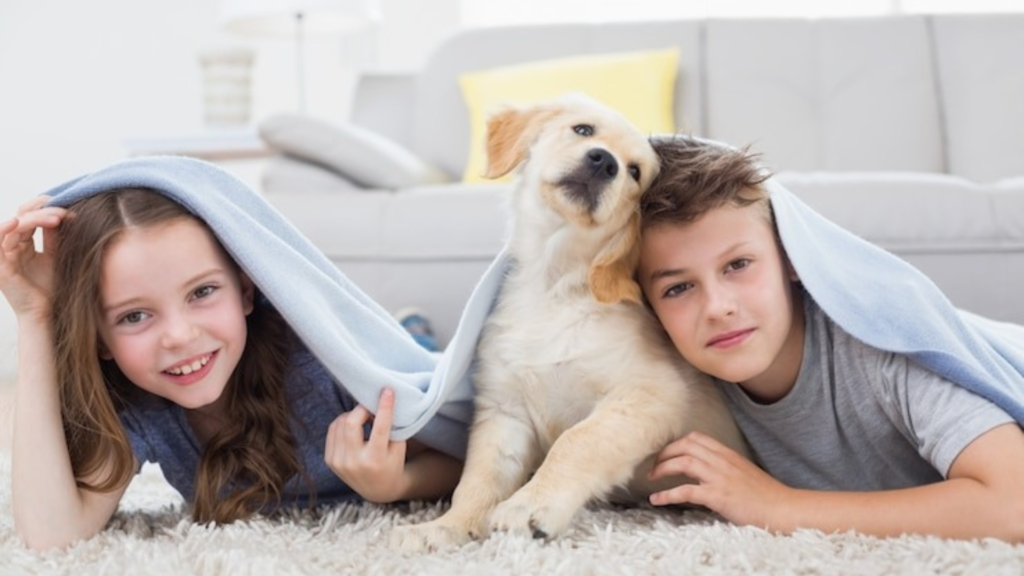 Providing a Comfortable Shelter for Your Pet