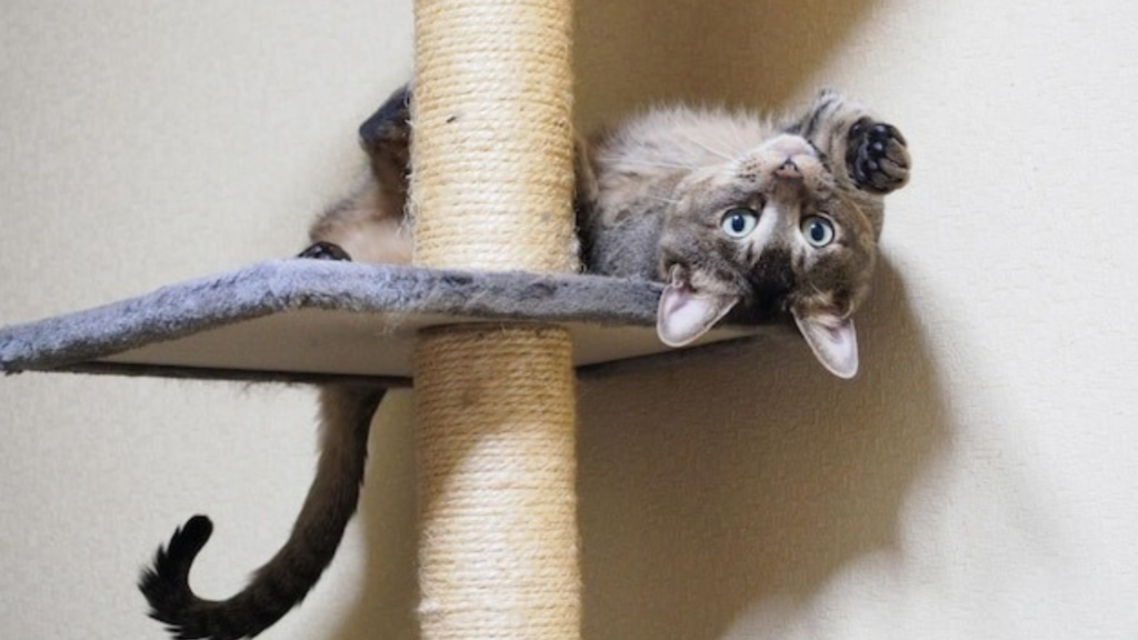 Night Visibility and LED Lighting