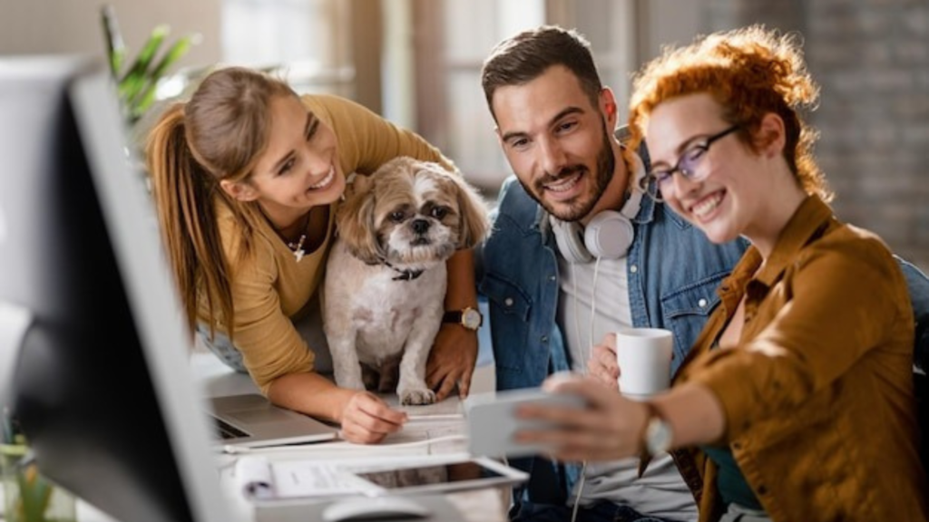 Choosing the Right Concept for Your Pet Store