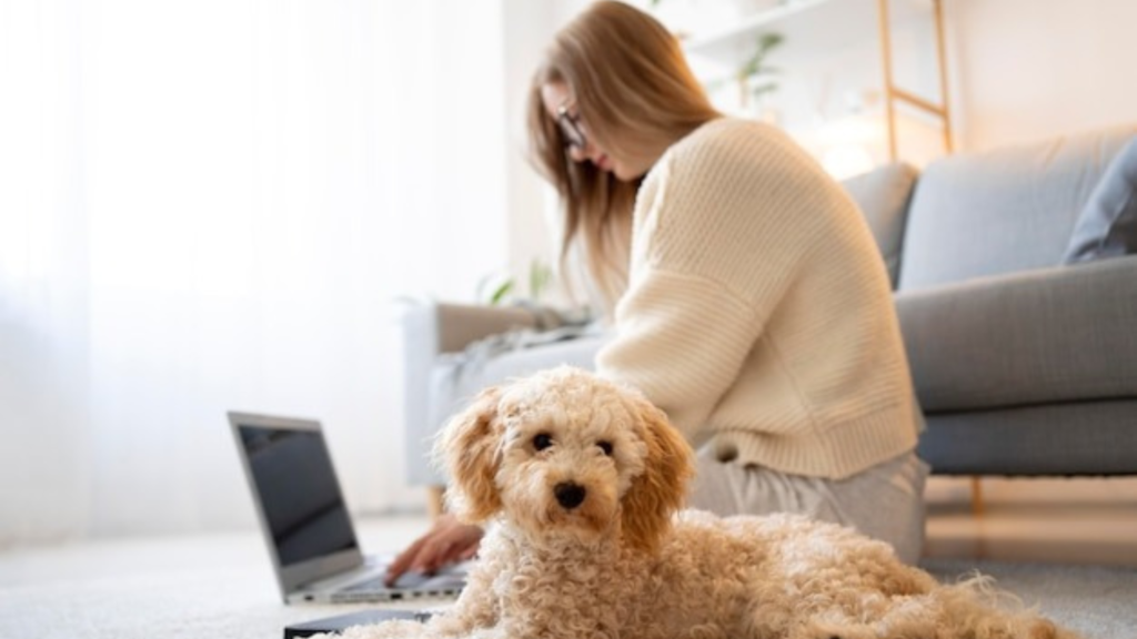 Exclusive Online Promotions to Attract Customers