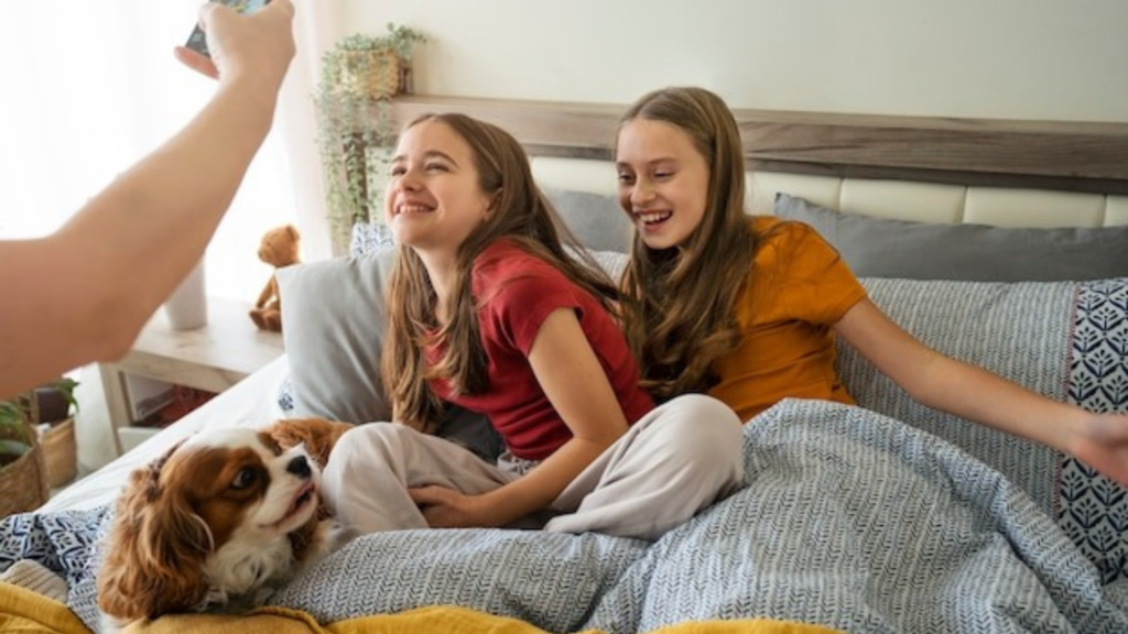 Differences in Snack Types for Cats and Dogs