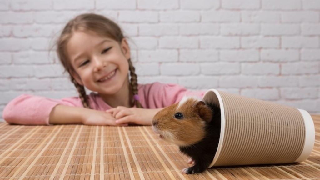 Building Bonds Through Fun Activities with Your Pet