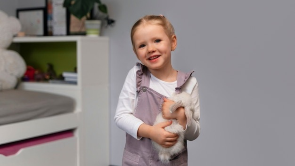 Design and Size Options of the Dog Bed