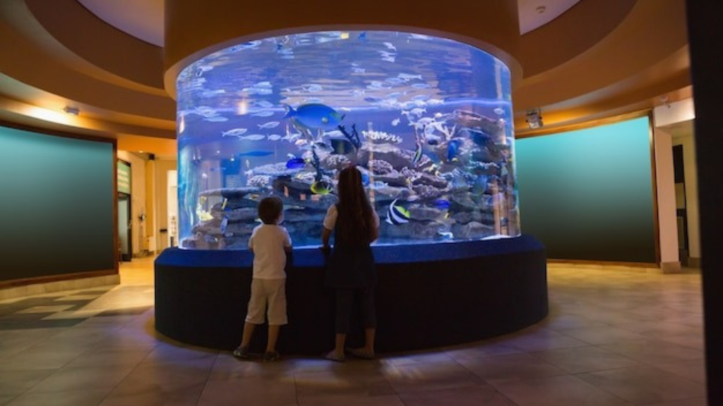 Choosing the Right Substrate for Aquarium Plants