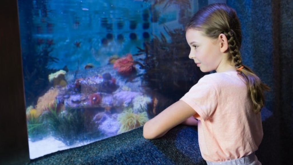 The Importance of Proper Aquarium Lighting