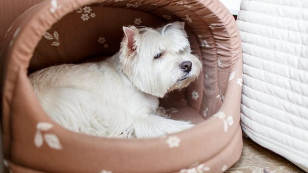 Anti-Slip Flooring and Size Options