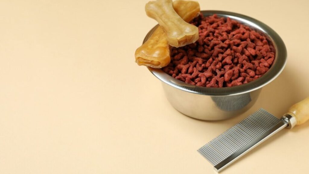 The Importance of a Proper Diet for Small Breed Dogs