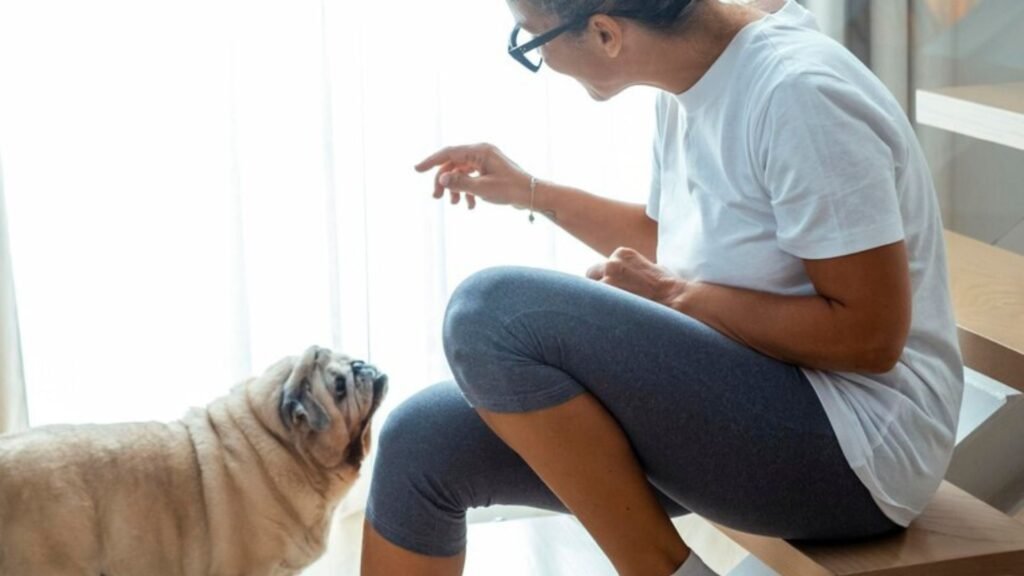 What is pet dander allergy