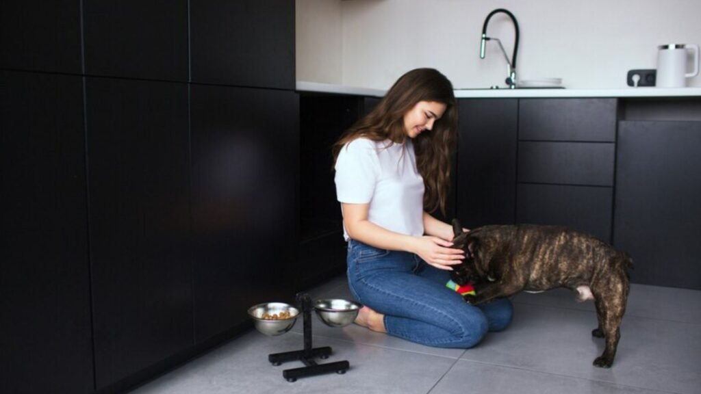 Keeping your pet in perfect condition