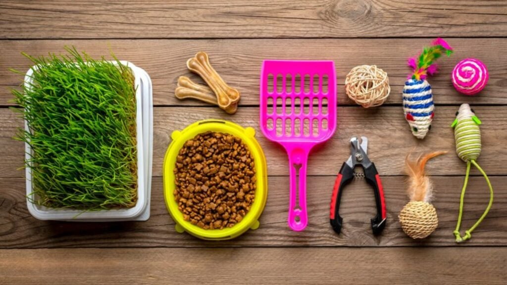 What They Need to Receive in The Diet