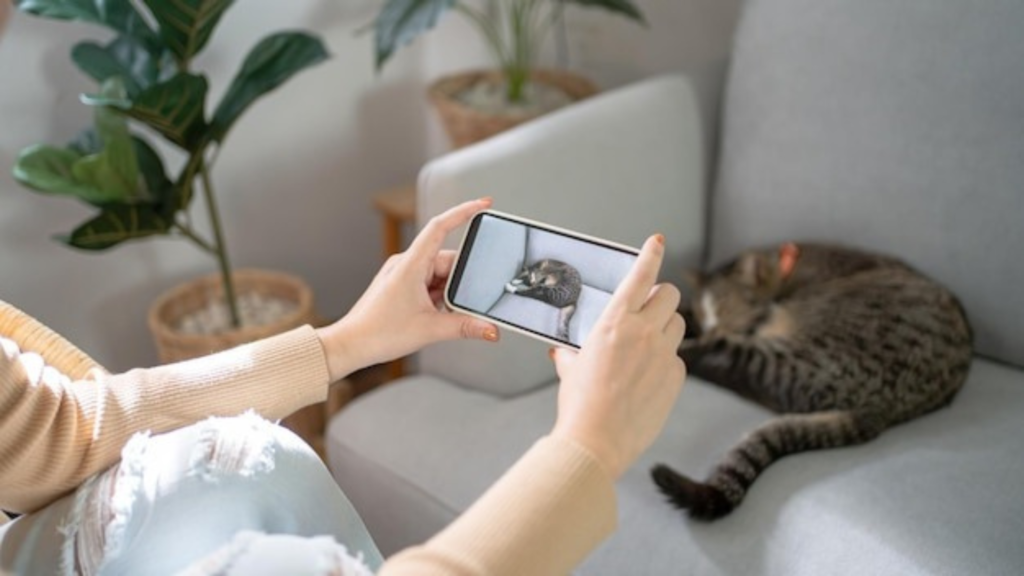 What Is an RV Pet Monitor?