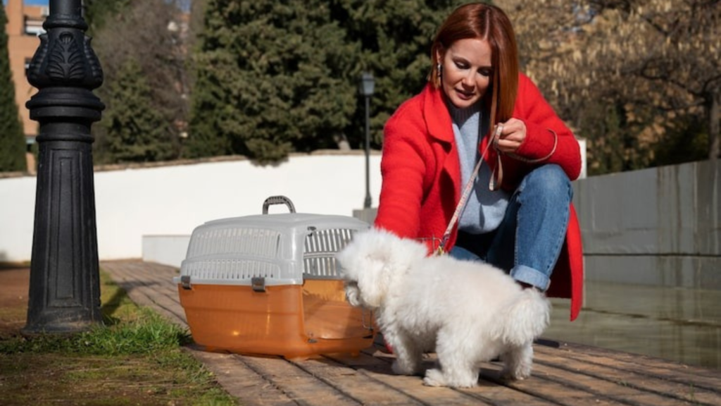 The Rise of Pet Ownership and Travel in Australia