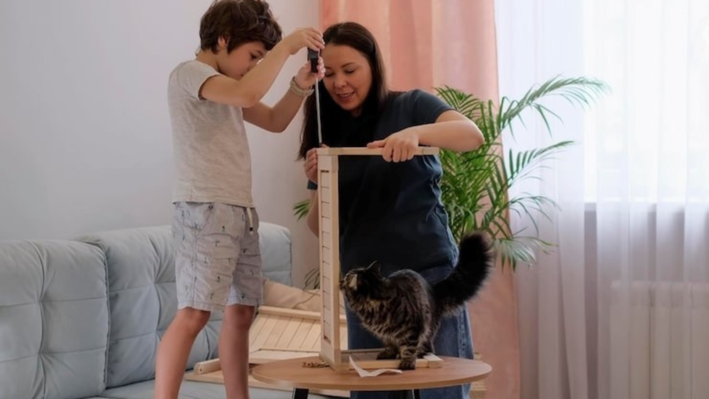 When do I begin house training?