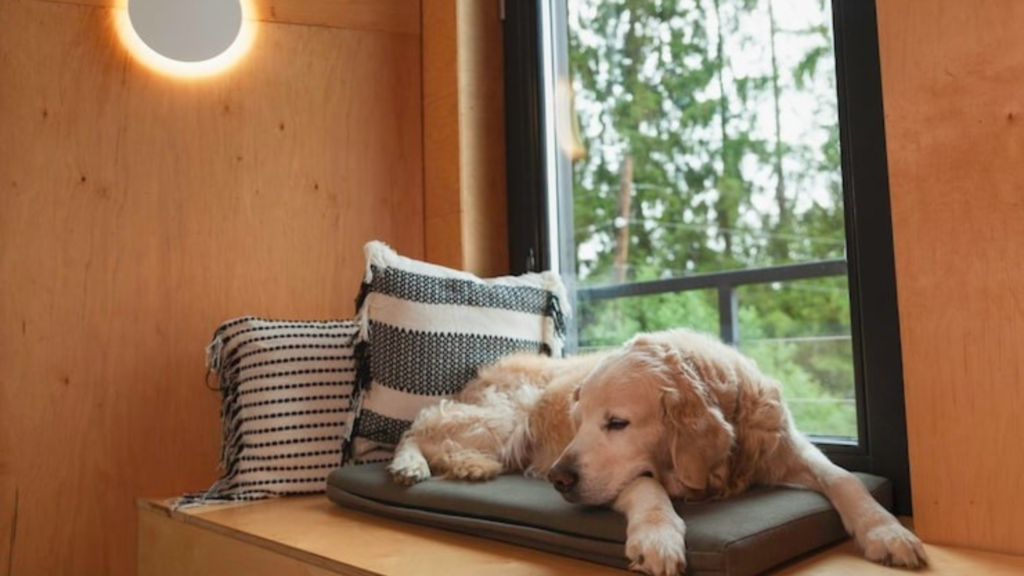 What Exactly Is Endodontics?