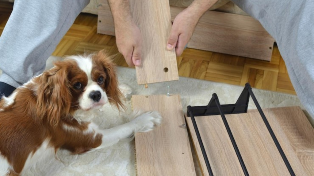 Why Soundproof a Dog Cage or Kennel?