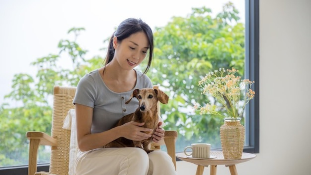 How to Keep Your House from Smelling Like Dog