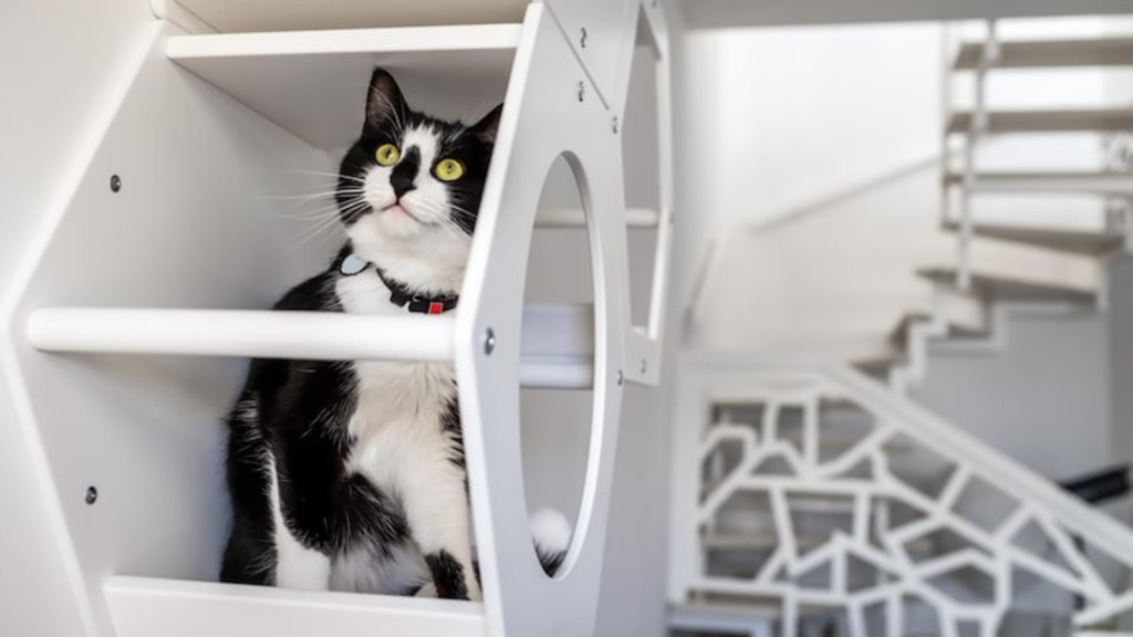 Planning and Assessing Your Space