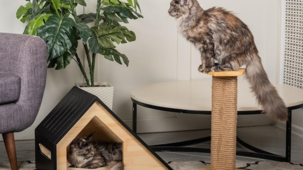 Core Design Philosophies