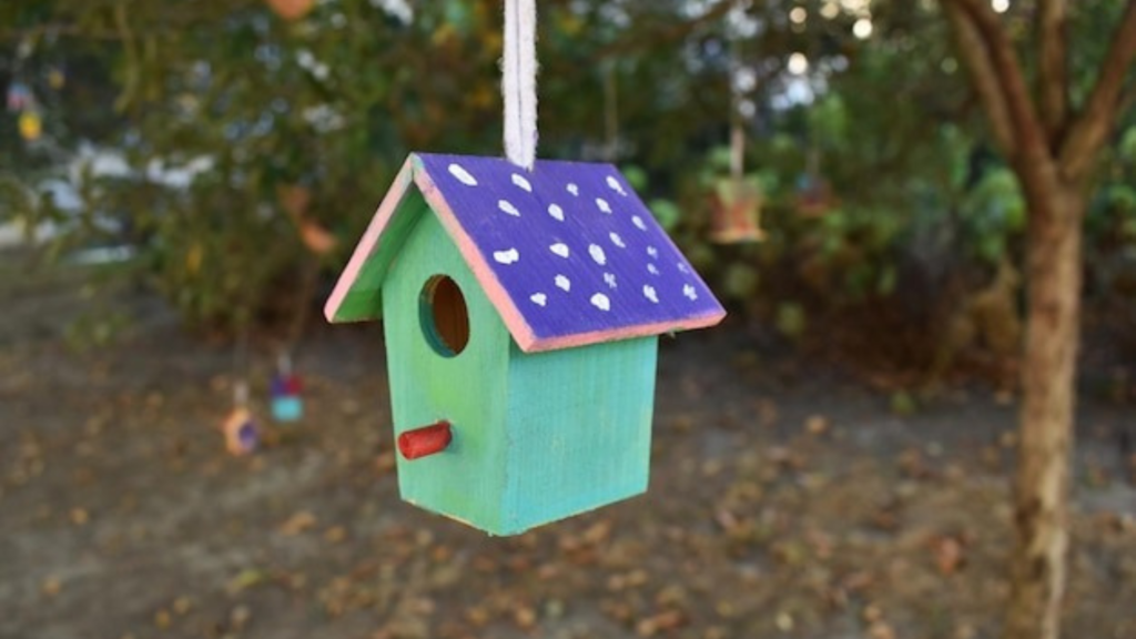 The Advantages of Eco-Friendly Apartments