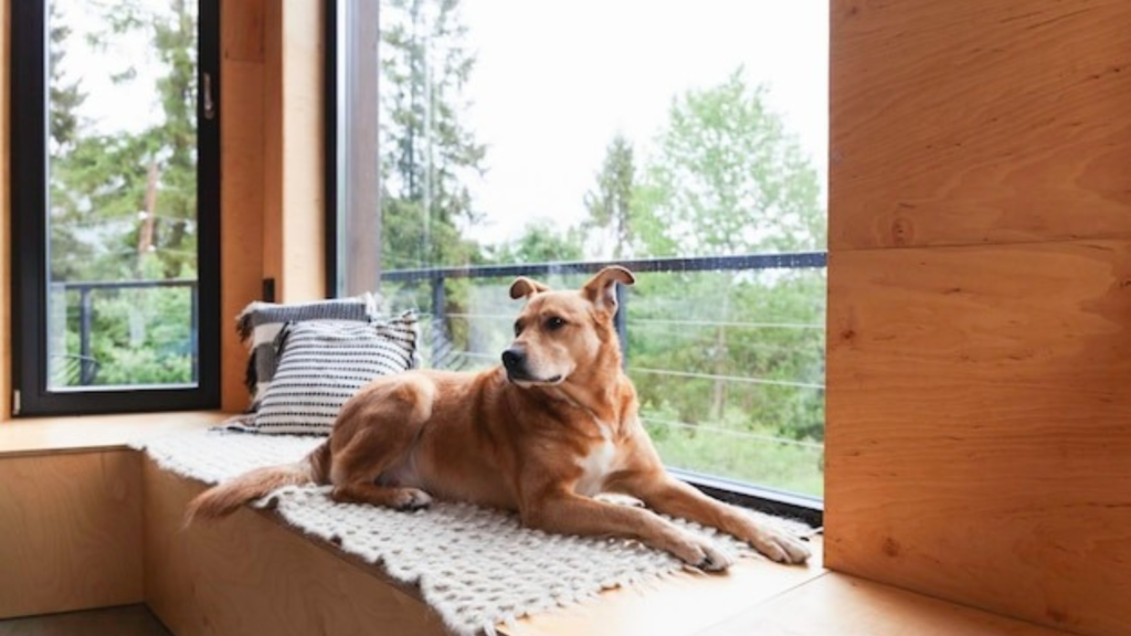 Advances That Revolutionized the Practice