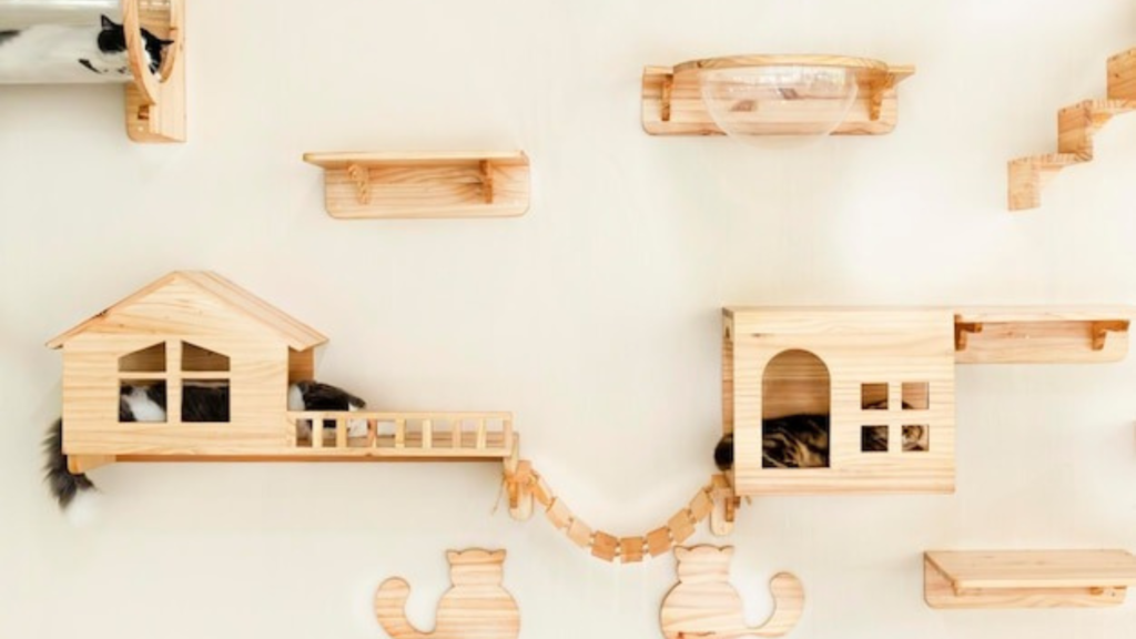 Top Designs of Convertible Dog Spaces