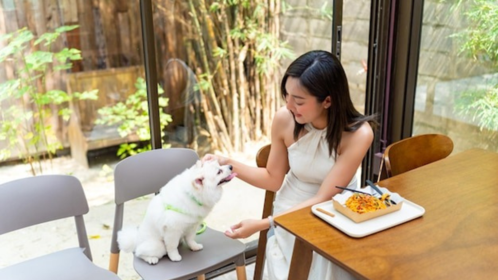 No One Wants a Home That Smells Like Dog