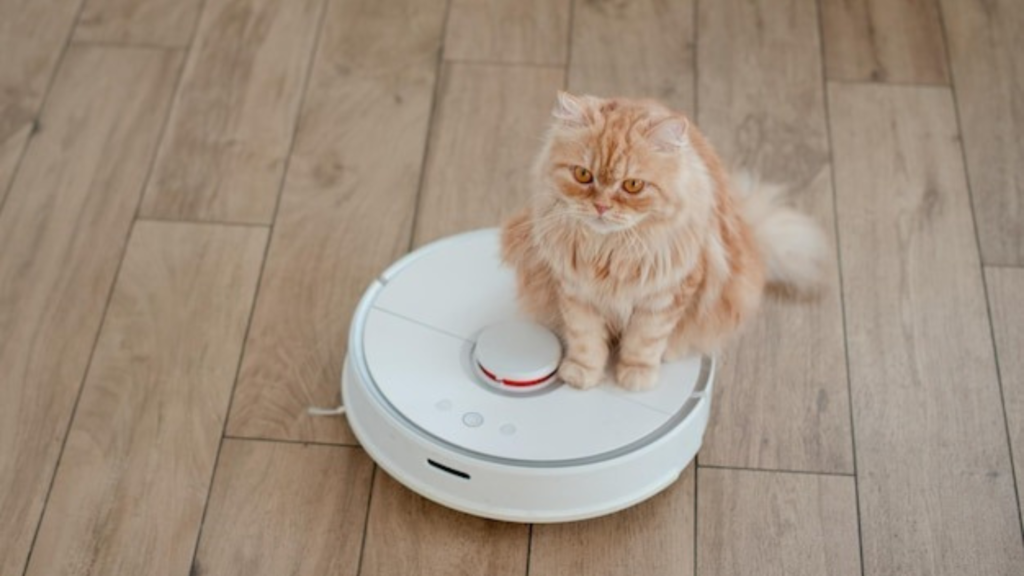 AI for Veterinary Care and Diagnostics