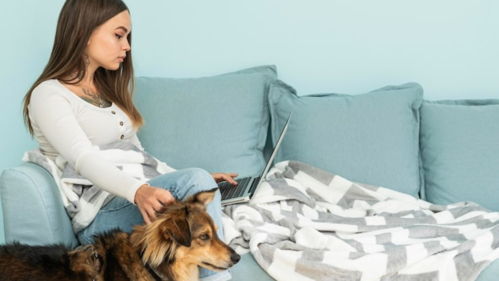 How Interactive Toys Keep Your Dog Playful