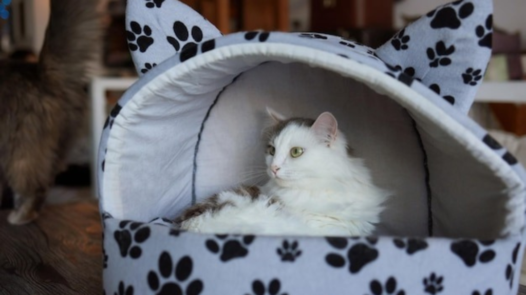 Best Pets for Tiny Homes