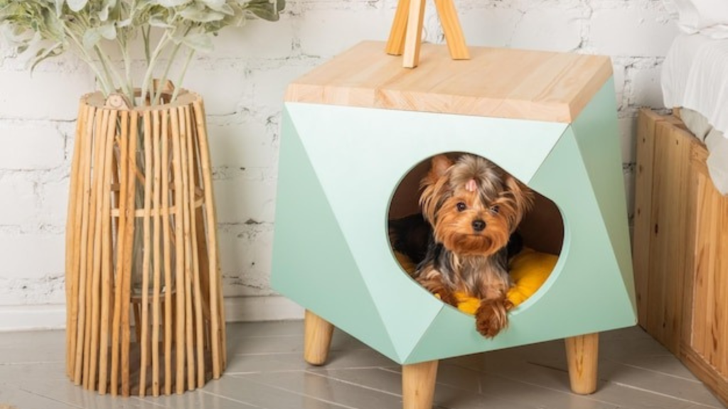 Furniture and Layout