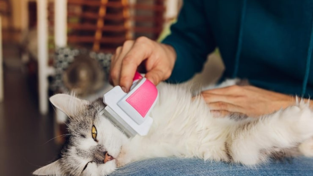 Tools for Cleaning Up After Pets