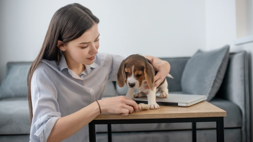 Can you provide me with easy-to-follow instructions to help me house train my puppy?