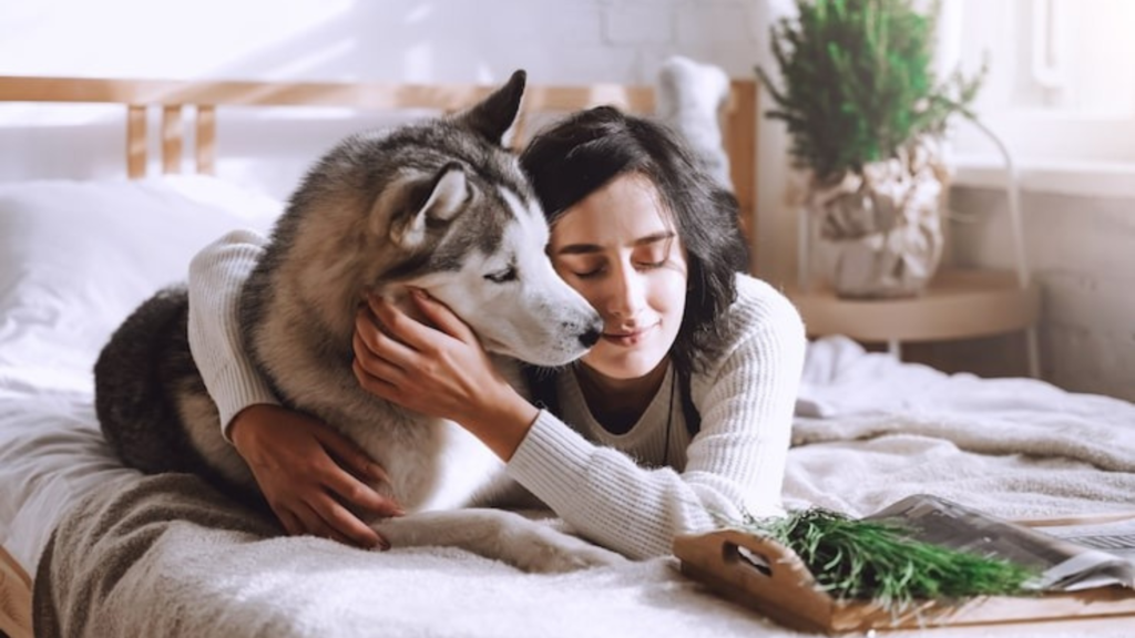 The benefits of pets