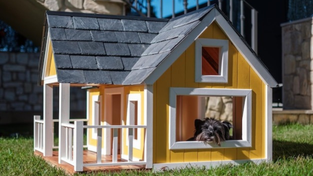 Key features to consider in the best outdoor cat house