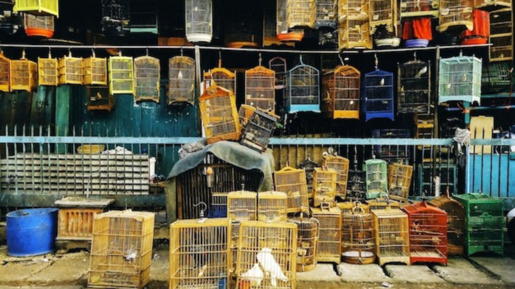 Best Materials and Must-Have Accessories for Small Pet Houses