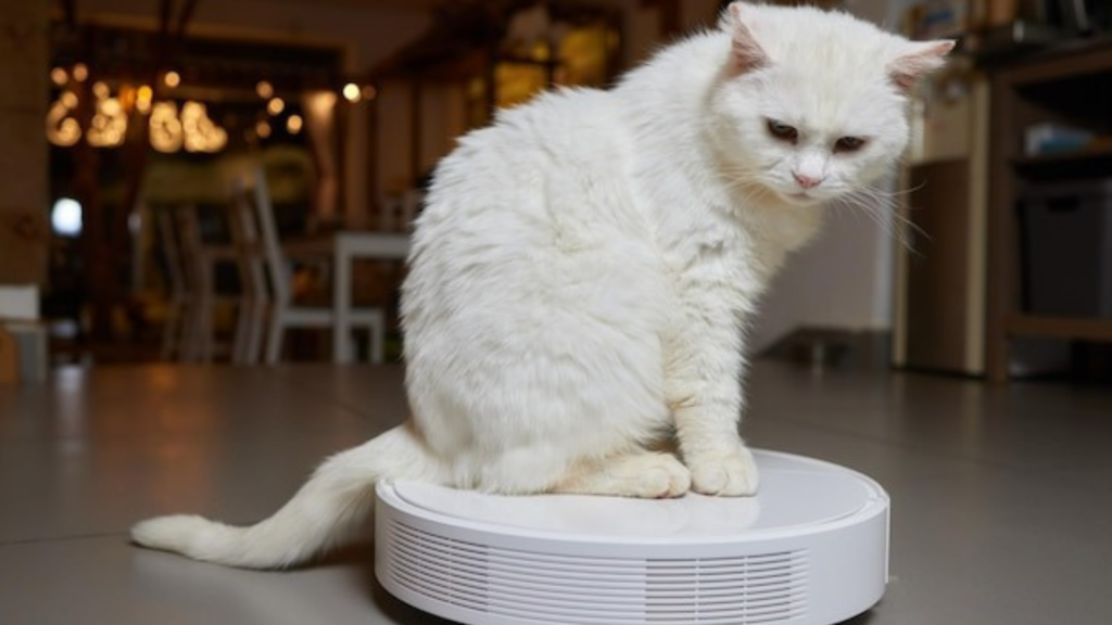 The Future of Pet Parenting: What’s Next?