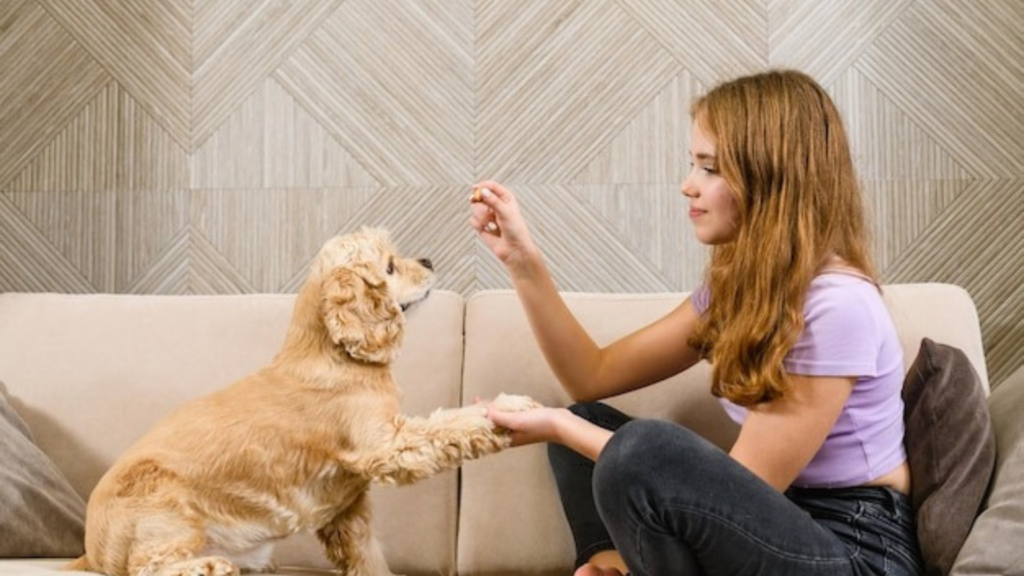 Unconditional Love and Attachment: Why Pets Often Receive Our Greatest Affection