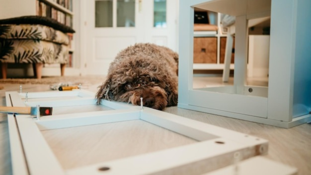 Limitations of Acoustic Foam and Weighted Blankets